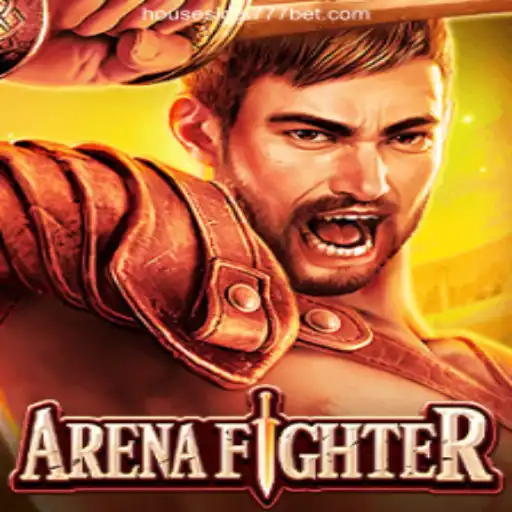 ArenaFighter: Thrilling Combats in the Virtual World